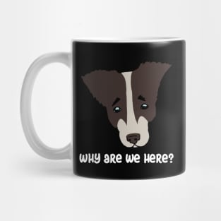 why are we here?. sad dog Mug